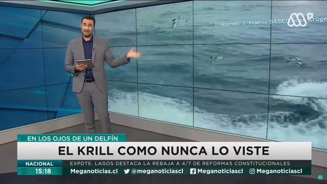 ¿Cuál es el rol del krill en la Antártica? смотреть онлайн