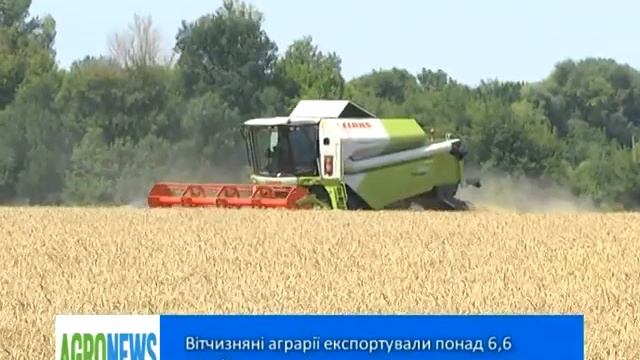 Аграрії експортували понад 6,6 млн тонн зернових