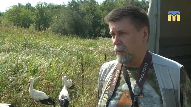Лелеки на свободі смотреть онлайн