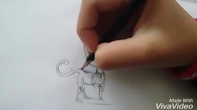 Ирис Анастасии Шпагиной/Iris the cat. смотреть онлайн