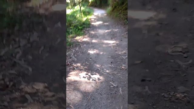 4ª Peregrinação a Pé Porto l Santiago de Compostela Julho 2023 Caminho Central смотреть онлайн