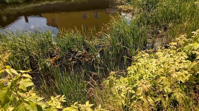 Штапской пруд 2