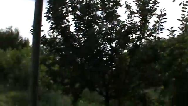 СЕЛЬСКИЙ ДВОР - ЛЕТОМ!!!! смотреть онлайн