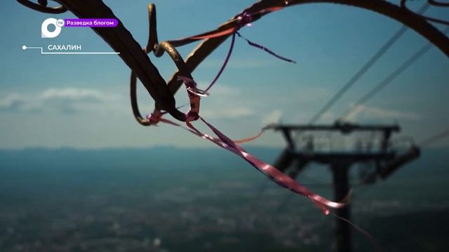 Разведка блогом / Сахалин янтарь / 20.09.23 смотреть онлайн