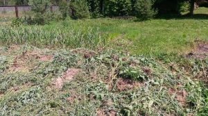 Революционный способ борьбы с сорняками без химии. Новинка.