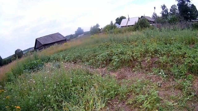 Поход в супермаркет и сбор лука смотреть онлайн
