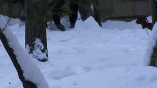 P2055748.MOV смотреть онлайн