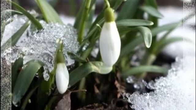 весеннее смотреть онлайн