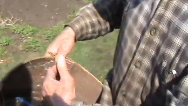 "Эксклюзивная" роевня смотреть онлайн