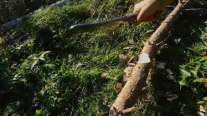 Паранг, первый опыт. Обзор и тесты.