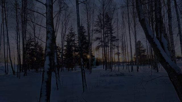 Парк #Зима #Марьино смотреть онлайн