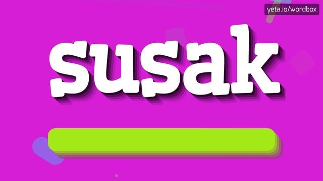 SUSAK - HOW TO PRONOUNCE IT!? смотреть онлайн