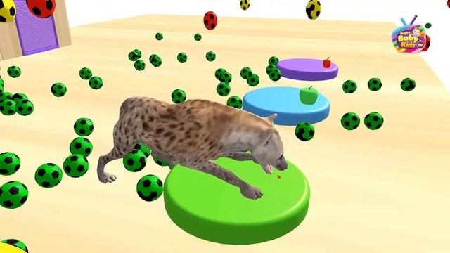 We learn colors in Italian with wild animals #1 color family | names and sounds of animals смотреть онлайн