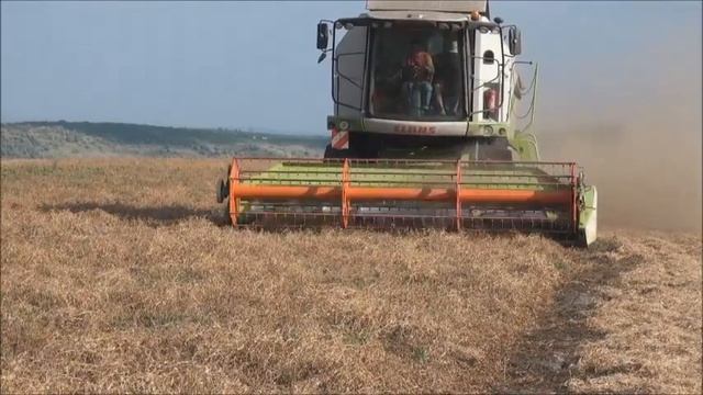 Уборка гороха Комрат 2016