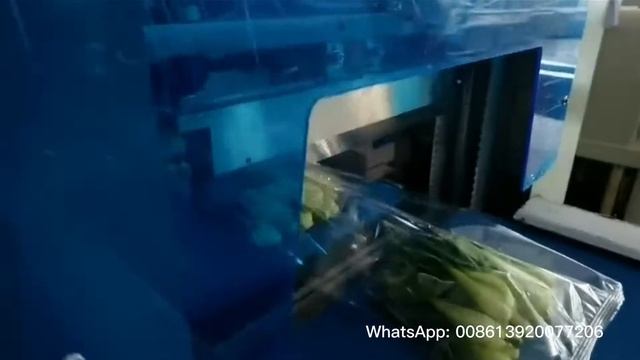 ОБОРУДОВАНИЕ ДЛЯ УПАКОВКИ ОВОЩЕЙ смотреть онлайн