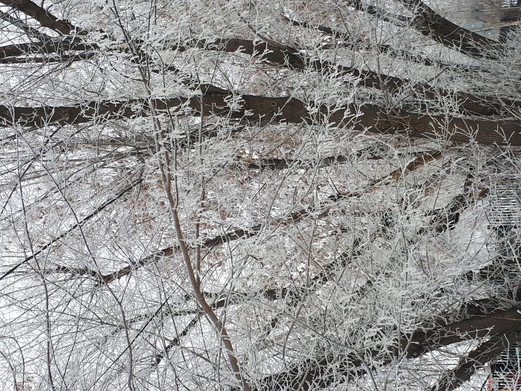 2 часть смотреть онлайн