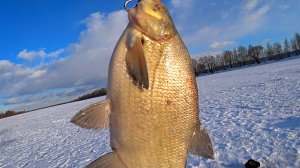 Ловля ЛЕЩА по последнему льду! Рыбалка на Оке 2024!