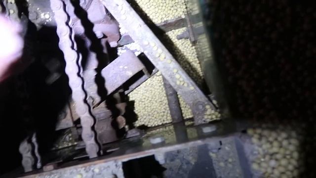 Grain Bin Entrapment смотреть онлайн