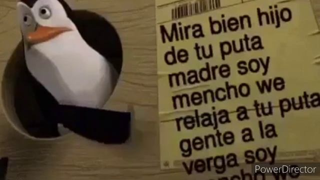 Mira bien hijo de tu p$+@ madre soy Mencho we relaja a tu p$+@ gente alv soy Mencho wey смотреть онлайн