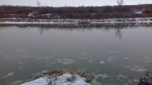 Пасмурное утро: Медведица и Тишанка