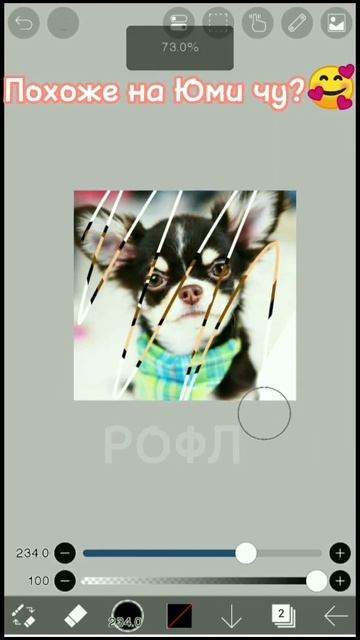 Похоже на Юми чу?🥰