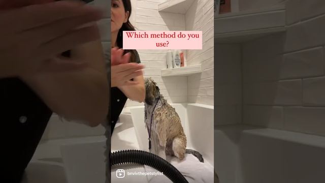 3 methods to bathing your dog at home! смотреть онлайн