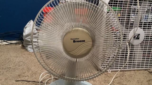 2005 Hawaiian Breeze FT30-Y1 12” Table Fan смотреть онлайн