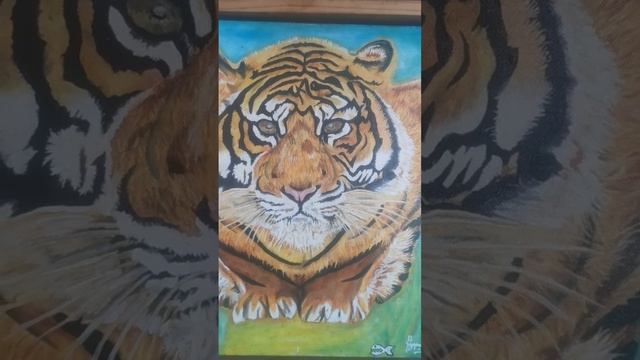 I .A.M. tiger (panthera tigris) смотреть онлайн