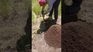 Постройка летнего душа часть 2: подготовка ям под столбы.