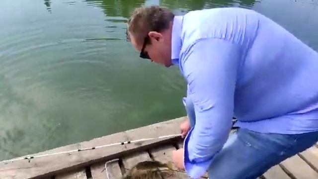 Карпуша клюёт смотреть онлайн