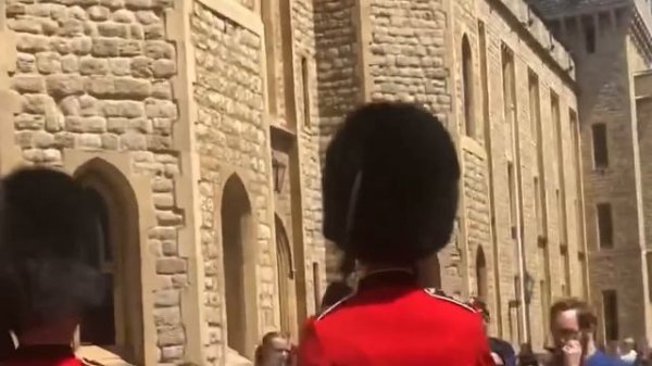 Top 30 Times Tourists Messed With The Queens Guards