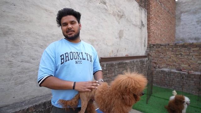 This Guy Has Toy Poodle , Bichon & Many Exotic Breeds in Delhi 😍😱 смотреть онлайн