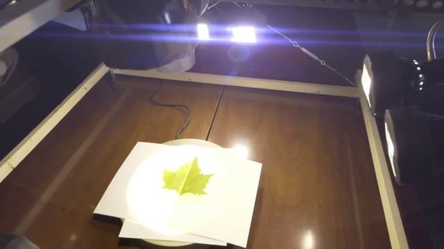 What No Limits Means To Me: SpeedTree смотреть онлайн