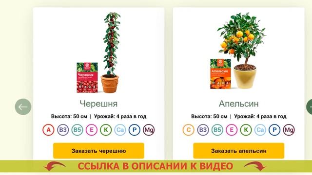 ИНЖИР ДЕРЕВО В ДОМАШНИХ УСЛОВИЯХ В ГОРШКЕ 👍 ЛУЧШИЕ КОМНАТНЫЕ РАСТЕНИЯ ДЛЯ ДОМА ЦЕНЫ смотреть онлайн