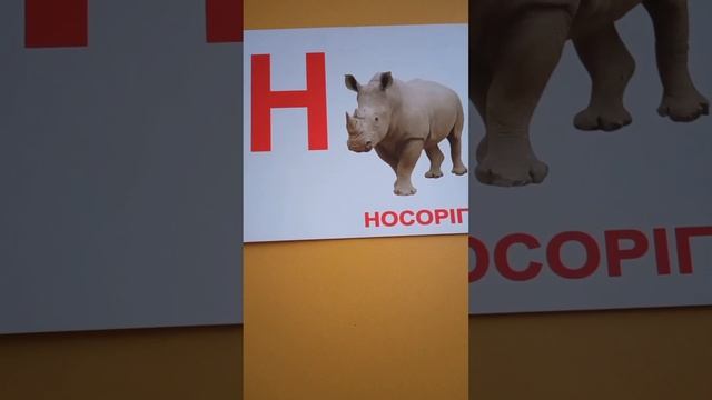 Заняття з грамоти 