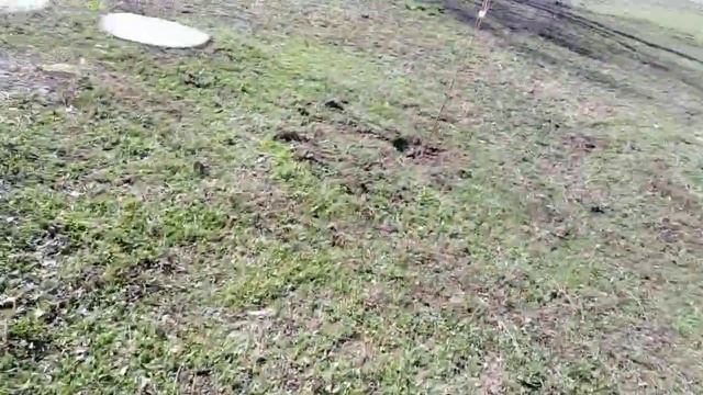 ОРЕХ БЕТОН смотреть онлайн