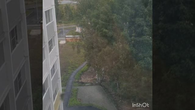 Парковый смотреть онлайн