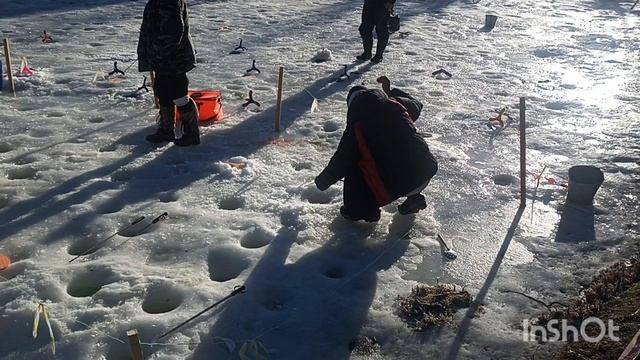Уловы сегодня смотреть онлайн