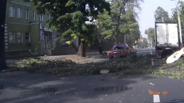 Падающее дерево смотреть онлайн