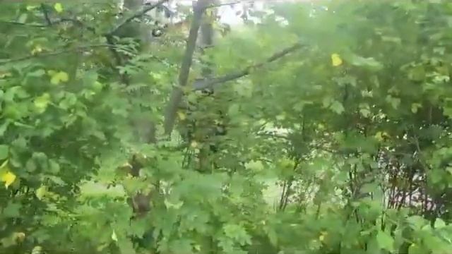 От крота и до кота смотреть онлайн