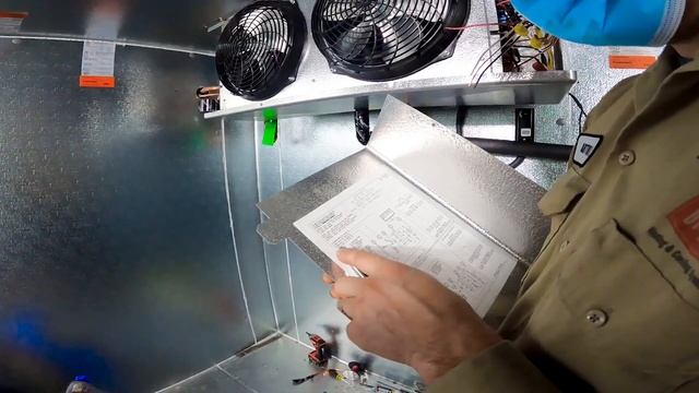 🤫Плюсы и минусы работы на блогера-контрактора в США 🇺🇲 | FUSE MAN смотреть онлайн