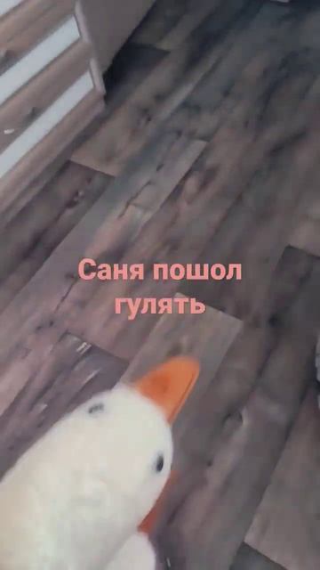 я отпустила его гулять в 12:56 самосохранения в бою после оскорбление 😂😂😂😂😂😂😂😂😂😂😂😂😂😂😂😂 смотреть онлайн