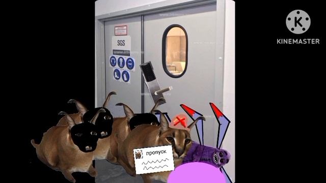 сериал про шлепу 