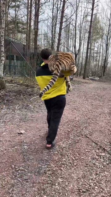 5 мая 2024 г. смотреть онлайн