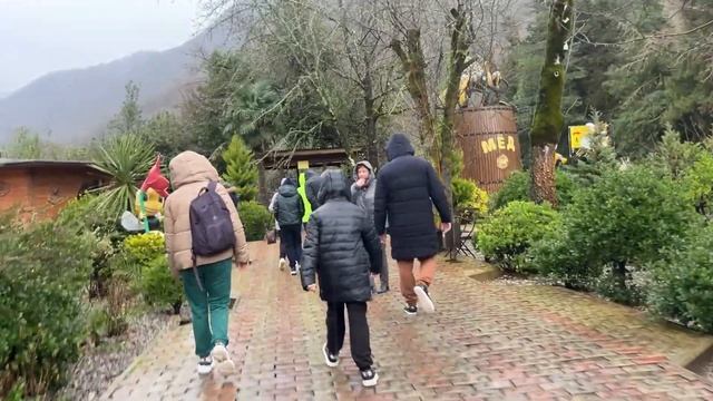 В Абхазию зимой_To Abkhazia In Winter