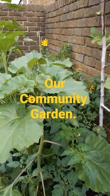 Gardens For Communities