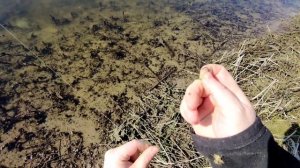 Рыбалка на резинку и дорожки! Наконец-то я её поймал!