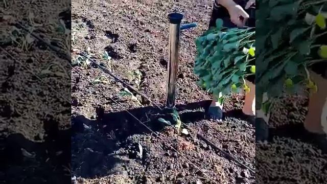 Посадочный пистолет в действии! смотреть онлайн