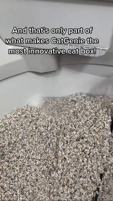 Isn’t It About Time Your Cat Had The Same Bathroom Luxuries As You? #shorts