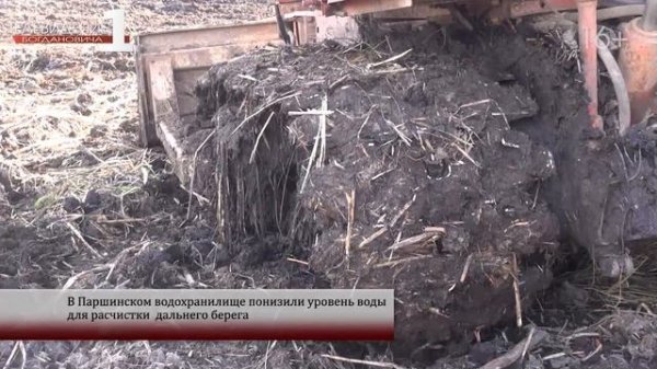 Паршинский пруд обмелел